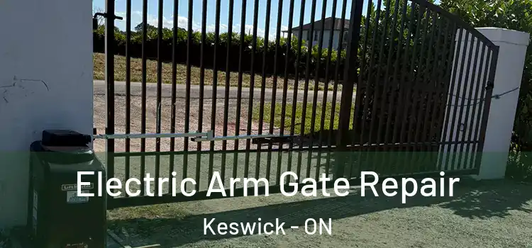 Electric Arm Gate Repair Keswick - ON