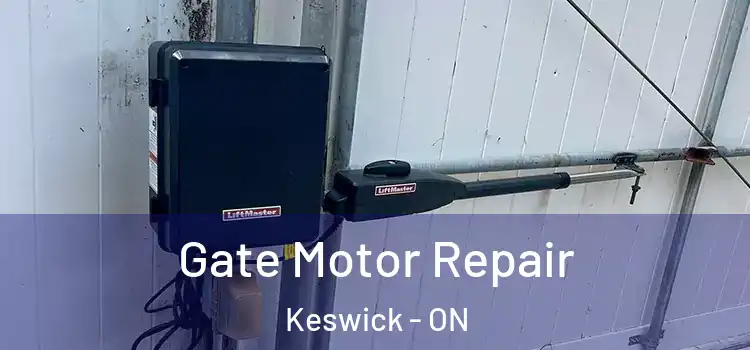 Gate Motor Repair Keswick - ON
