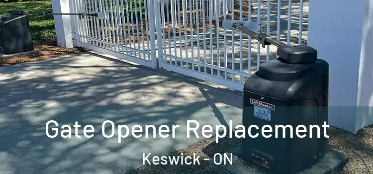 Gate Opener Replacement Keswick - ON