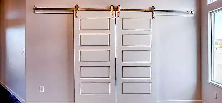 Glass Barn Door with Installation Hardware Kit Keswick