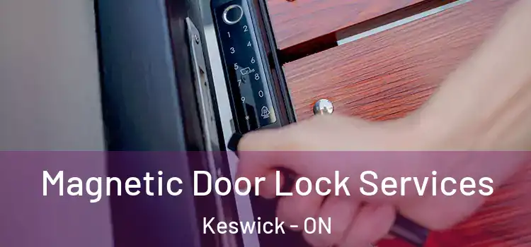  Magnetic Door Lock Services Keswick - ON